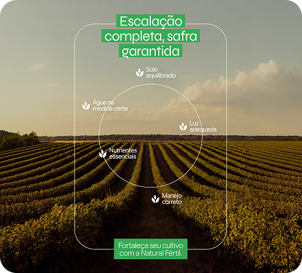 Infográfico Natural Fértil